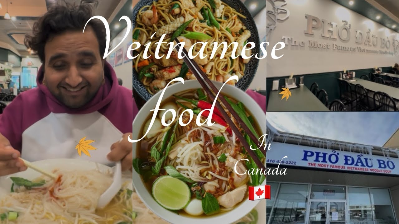 Vietnamese food in Canada |  Pho Ga and Mi Xao Ga reviews