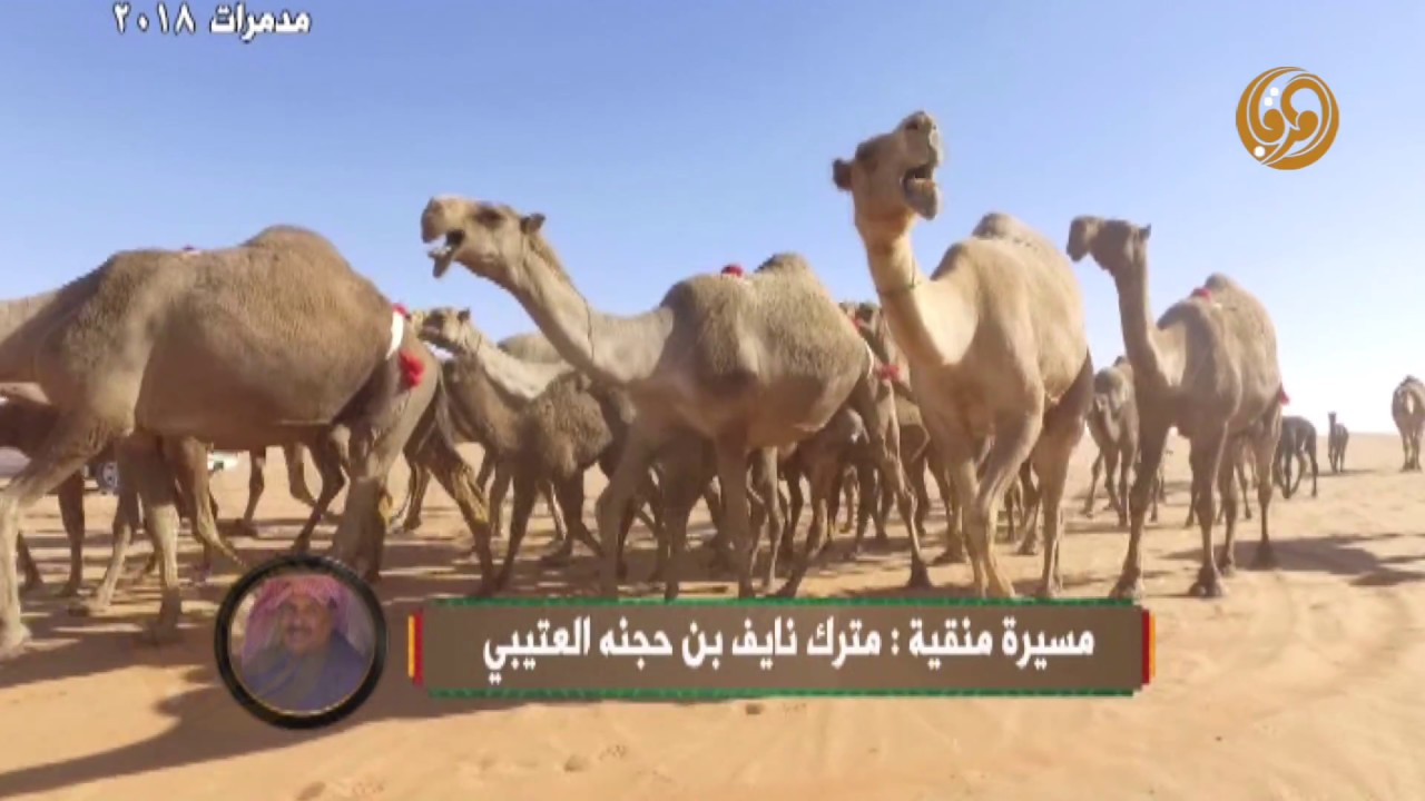 مسيرة مدمرات 2018 || لمالكها مترك نايف بن حجنه العتيبي
