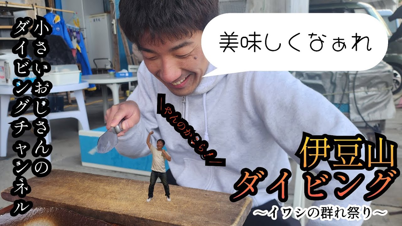 [伊豆ダイビング]2603伊豆山ダイビング　イワシまみれ#伊豆ダイビング