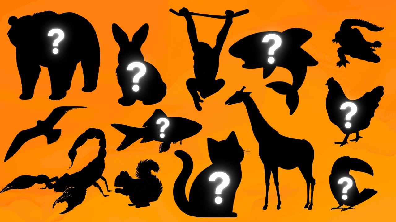 Guess the Animal by Shadow Challenge 🐾 Can You Name Them All? | Fun Quiz for Kids