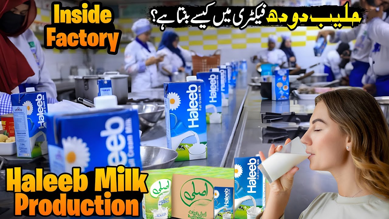 Inside Haleeb Milk Factory 🥛 | Milk Processing in Pakistan 🇵🇰 | Full Factory Tour