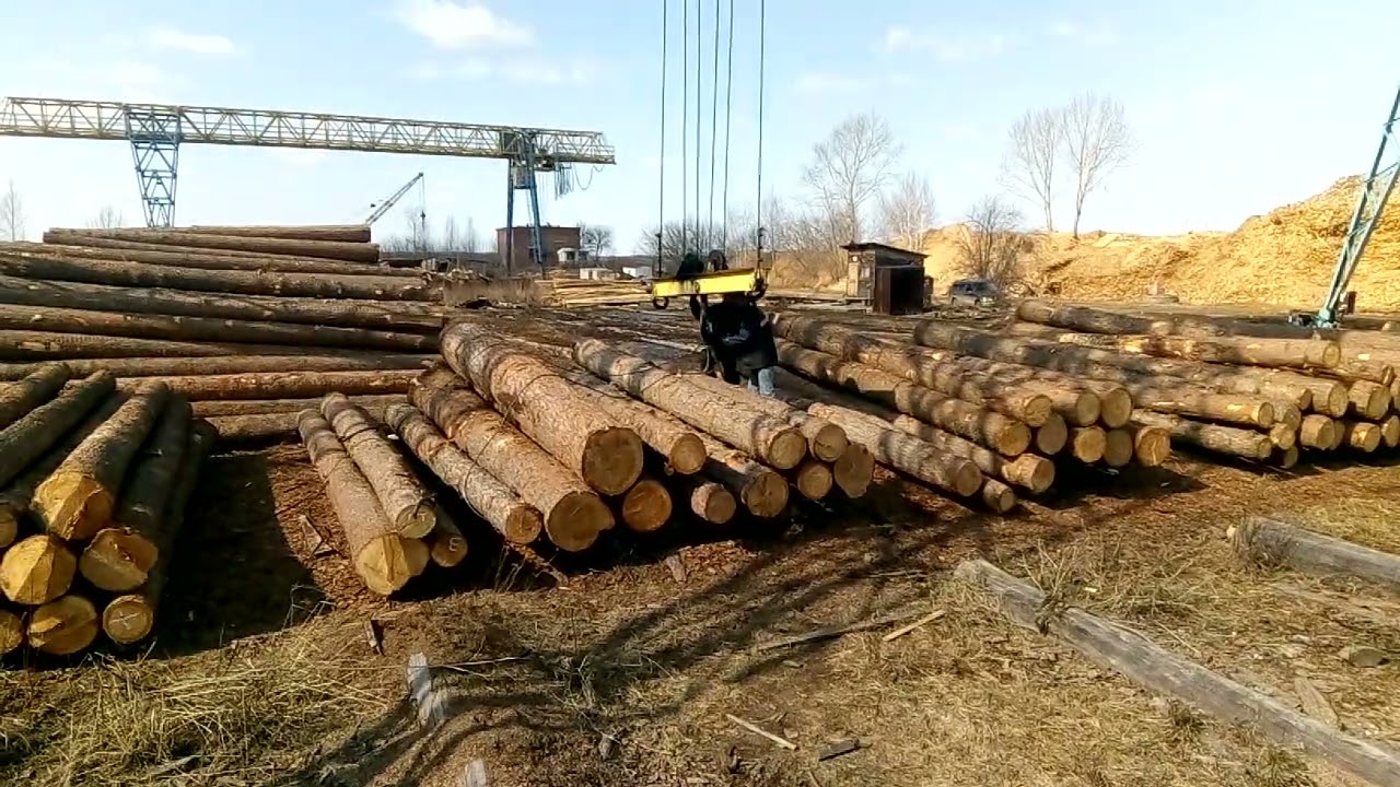 1  Склад круглого леса 1