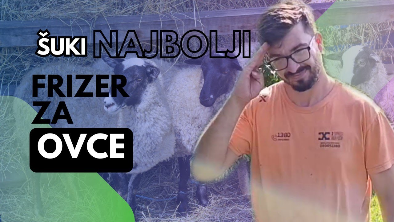 Najbolji Frizer Za Ovce Ošišao Mi Četri Ovčice