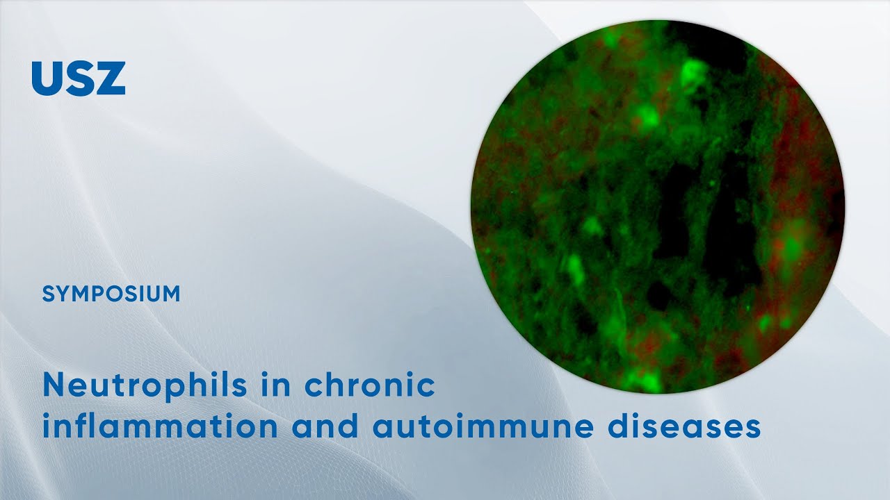 Neutrophils in chronic inflammation and autoimmune diseases (online seminar)