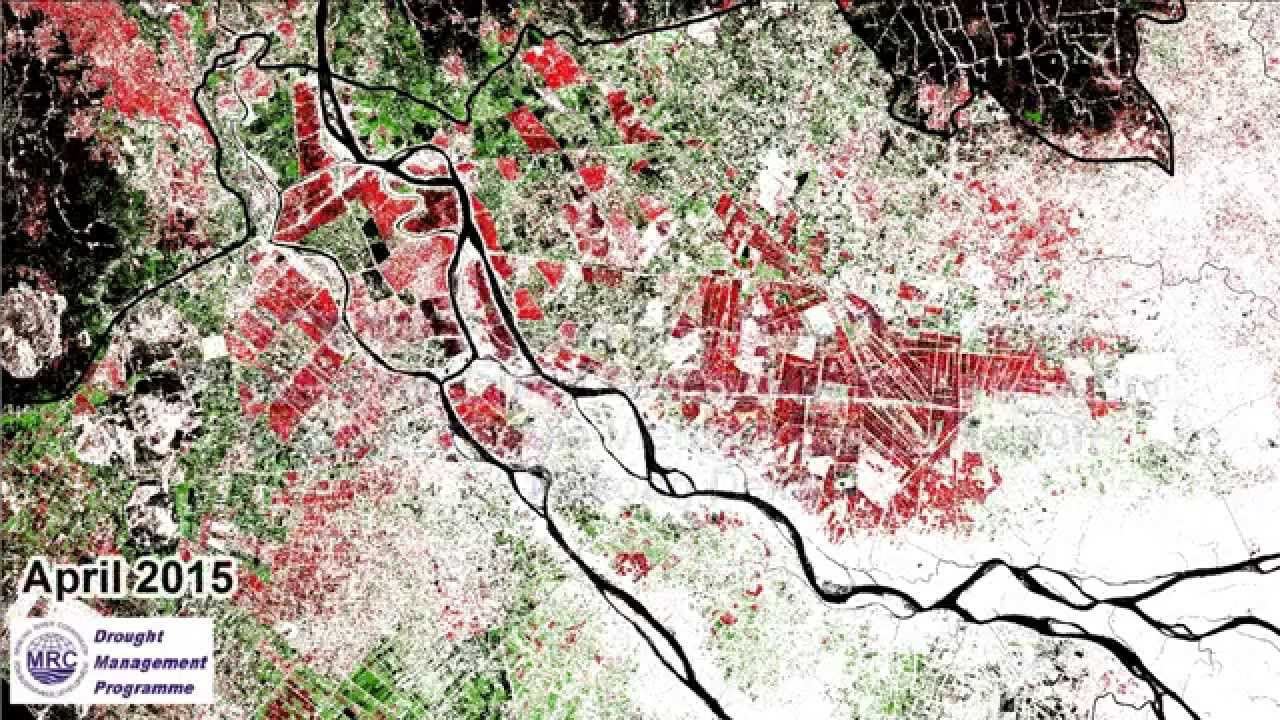 2015 Wet Season Rice Crop Map in the Cambodia-Vietnam Border Region Mekong Delta