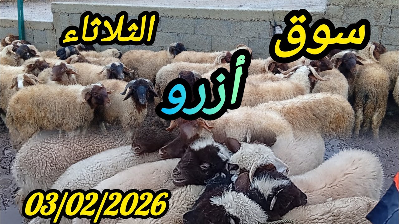 #سوق