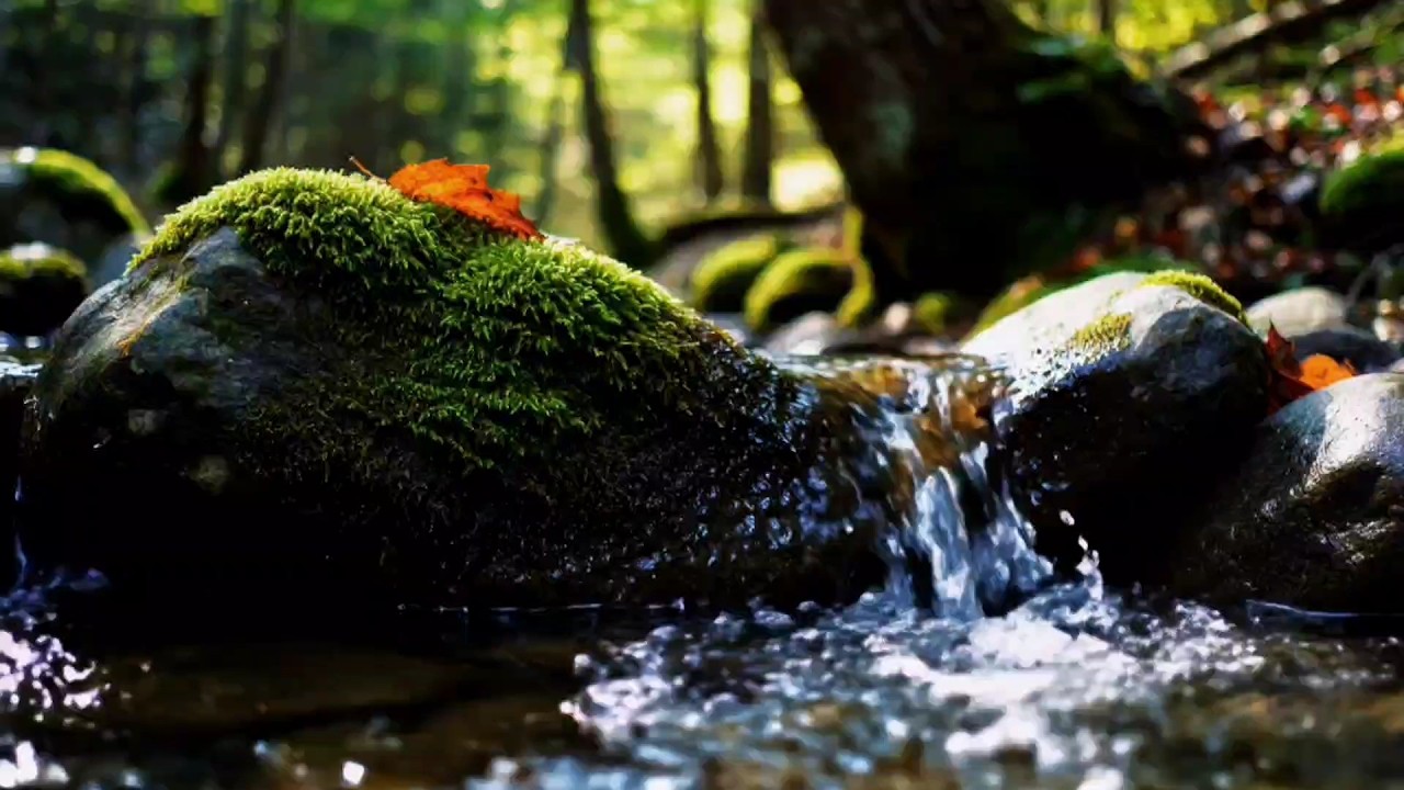 Calming River Sounds to Reduce Anxiety and Help You Sleep Naturally (No Music)