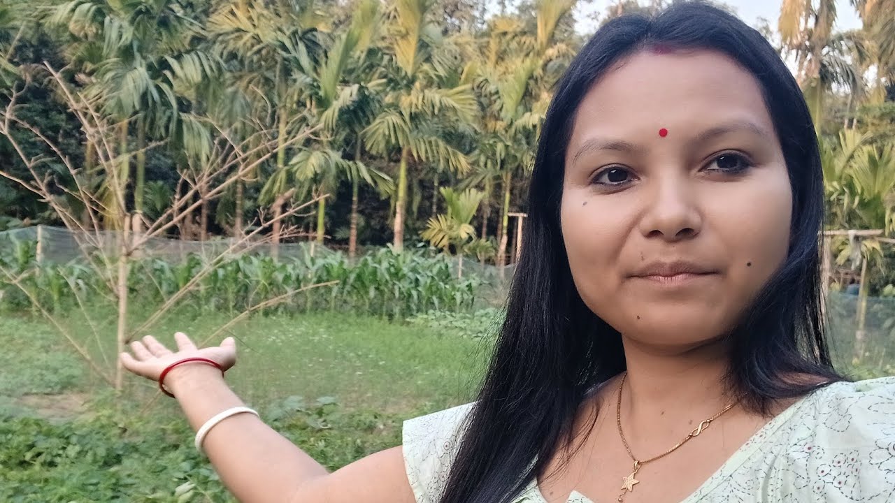 Jwngni Noni Megong Barikwo Ase Dekaibai🥦🍅Ma Ma Megong Dong Nailangpadw Angjwng Lwgwse ||#villagelife