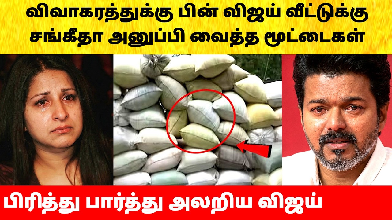 Thalapathy Vijay Wife Sangeetha attitude after divorce issue | Actress | Latest News | TVK