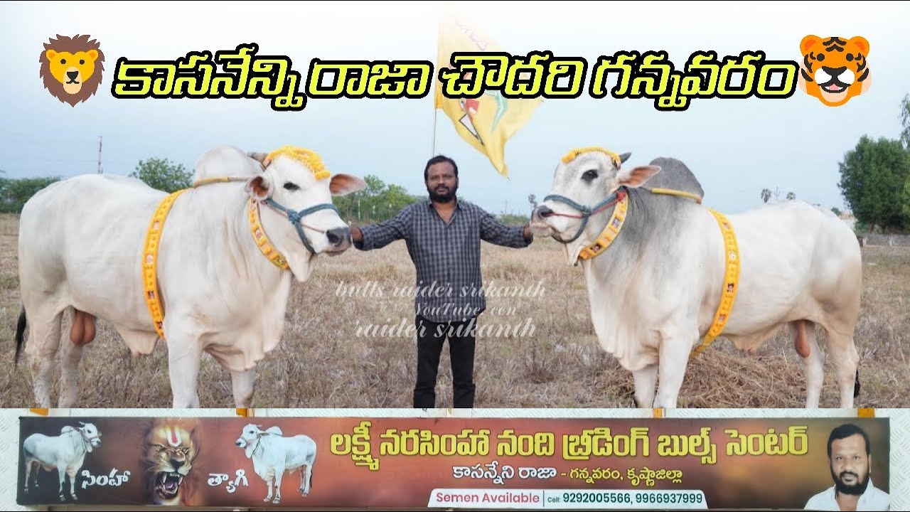 2026-శివాలయం సీనియర్స్ విభాగం  మొదటి జత 💥గన్నవరం రాజా & కుందుర్ రాంభూపాల్ రెడ్డి