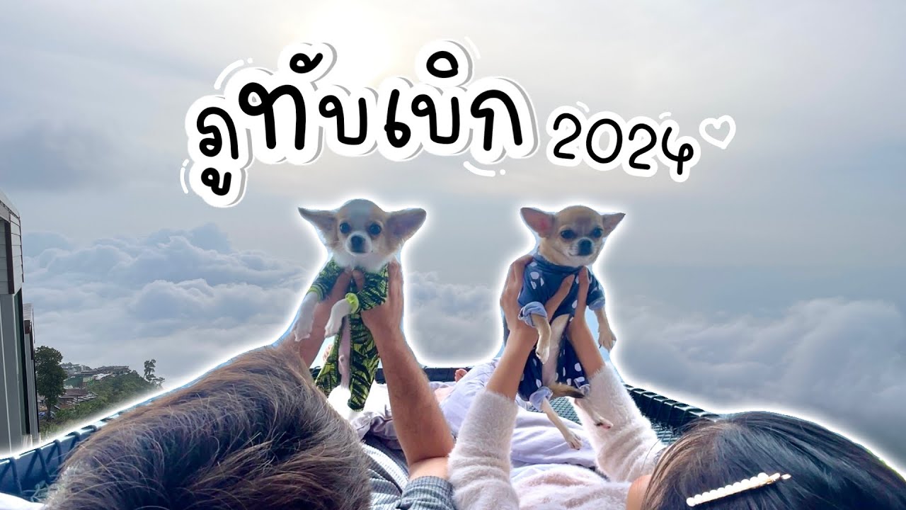 หมู พา เที่ยว | Ep.7 - ที่พักภูทับเบิกสุนัขเข้าพักได้