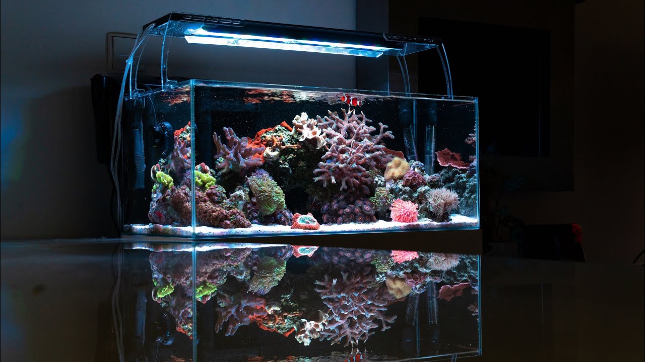 NANO Akwarium Morskie 45l - KROPLA OCEANU WE WŁASNYM MIESZKANIU