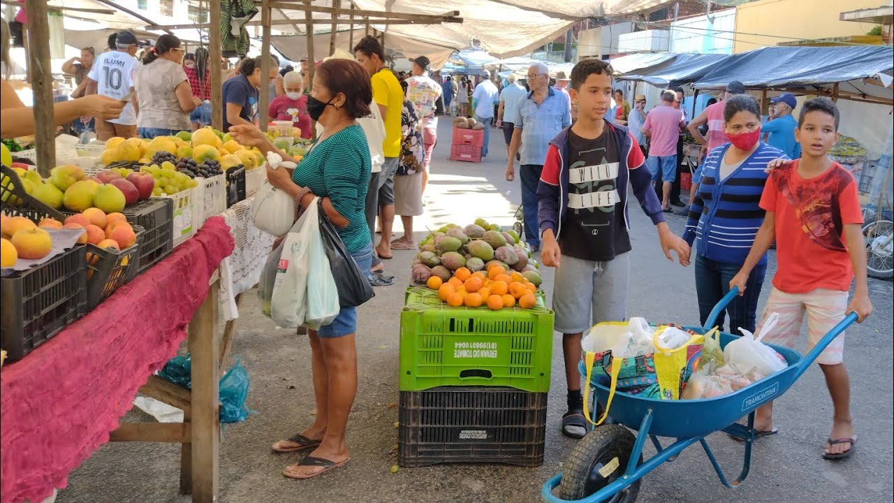 NESSA FEIRA ENCONTRAMOS SEIS ABACAXI POR 2,00 REAIS VEJA ISSO NA FEIRA LIVRE DE BATATEIRA PERNAMBUCO