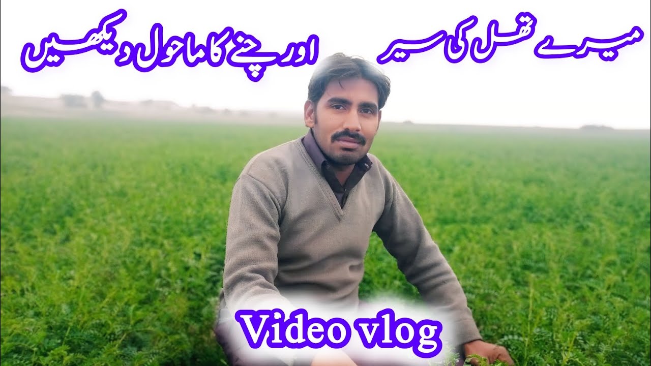 میرے تھل کی سیر اور چنے کا ماحول دیکھیں 