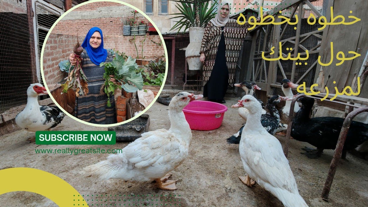 روتين رمضانى جديد متنوع