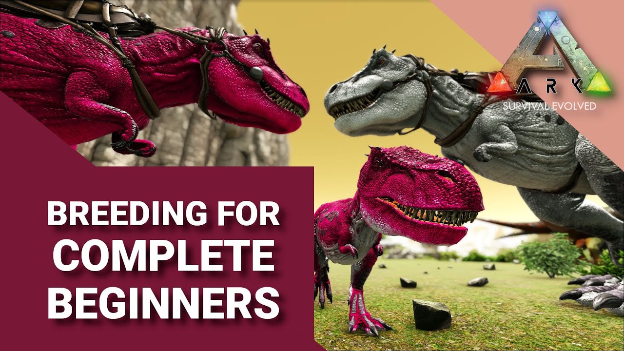 BREEDING for COMPLETE BEGINNERS | ARK: Survival Evolved