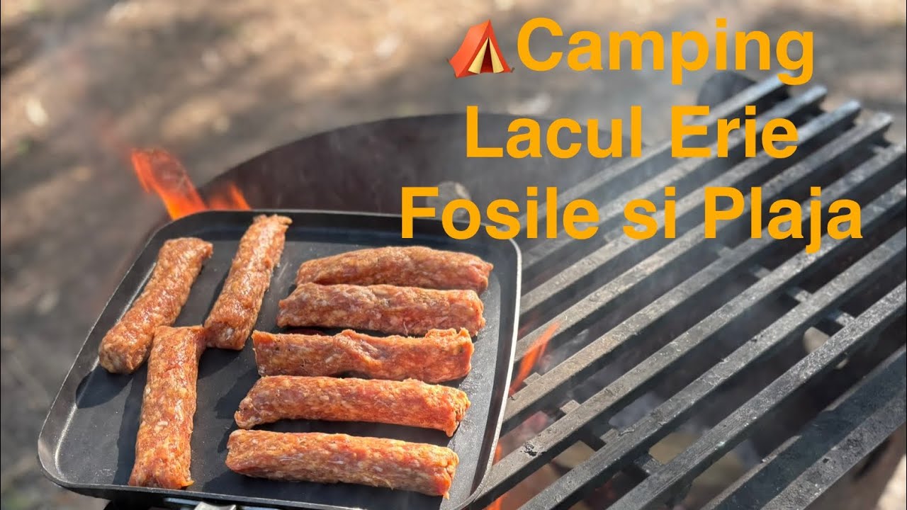 Sa descoperim fosilele de la Rock Point Lacul Erie- Camping vara