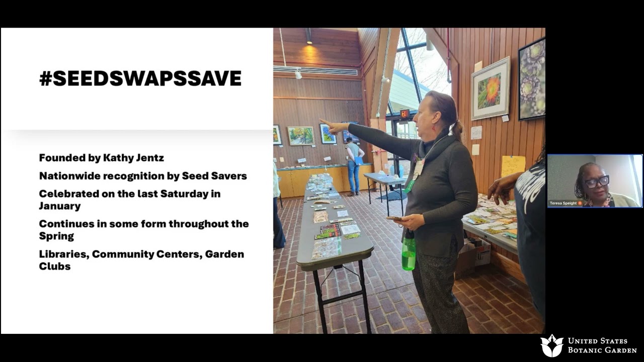 Creative Seed Sowing Basics (Online Lecture)