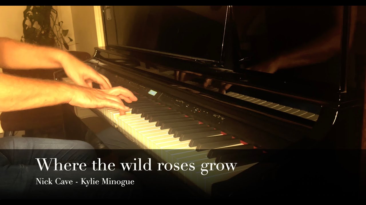 Where the wild roses grow - Nick Cave Kylie Minogue (Piano cover)