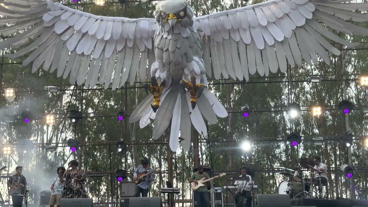 Easy Wanderlings live II Echoes of Earth Festival