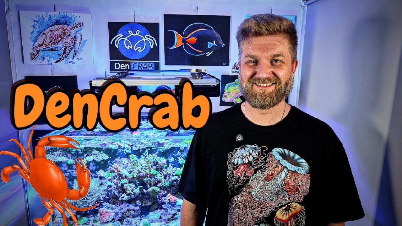 DenCrab и его аквариум.