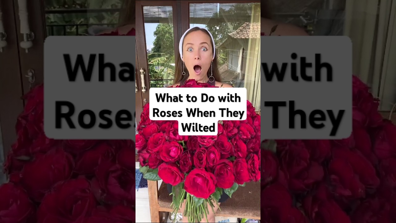 I Didn&rsquo;t Know What to Do with Roses When They Wilted