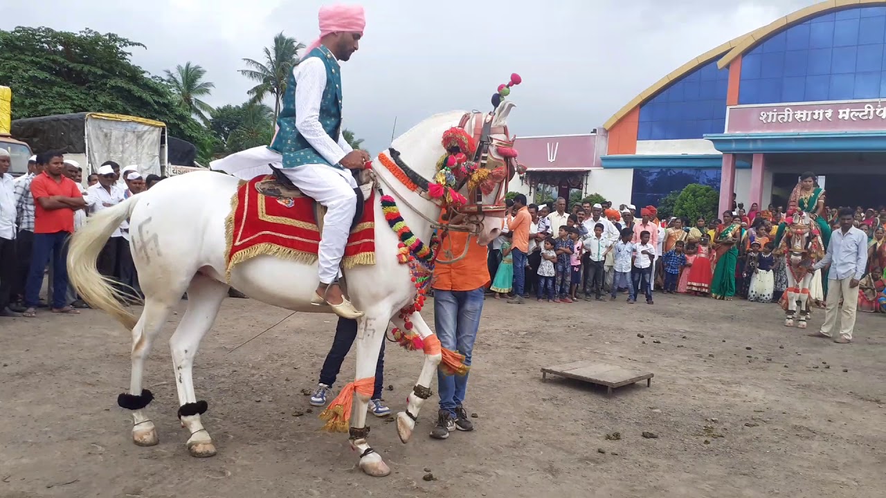 राजा बादल  तडसर
