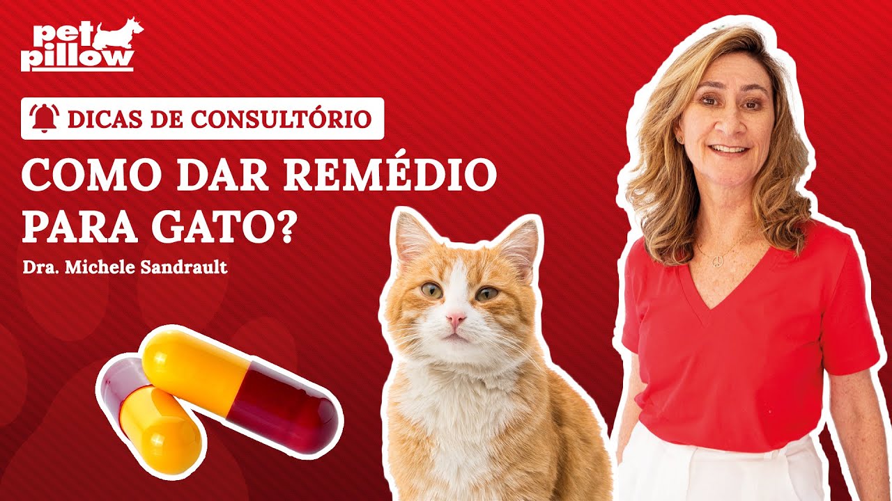 Como dar remédio para gato? | Dicas de Consultório #10 | Dra. Michele Sandrault e Dra. Isabela