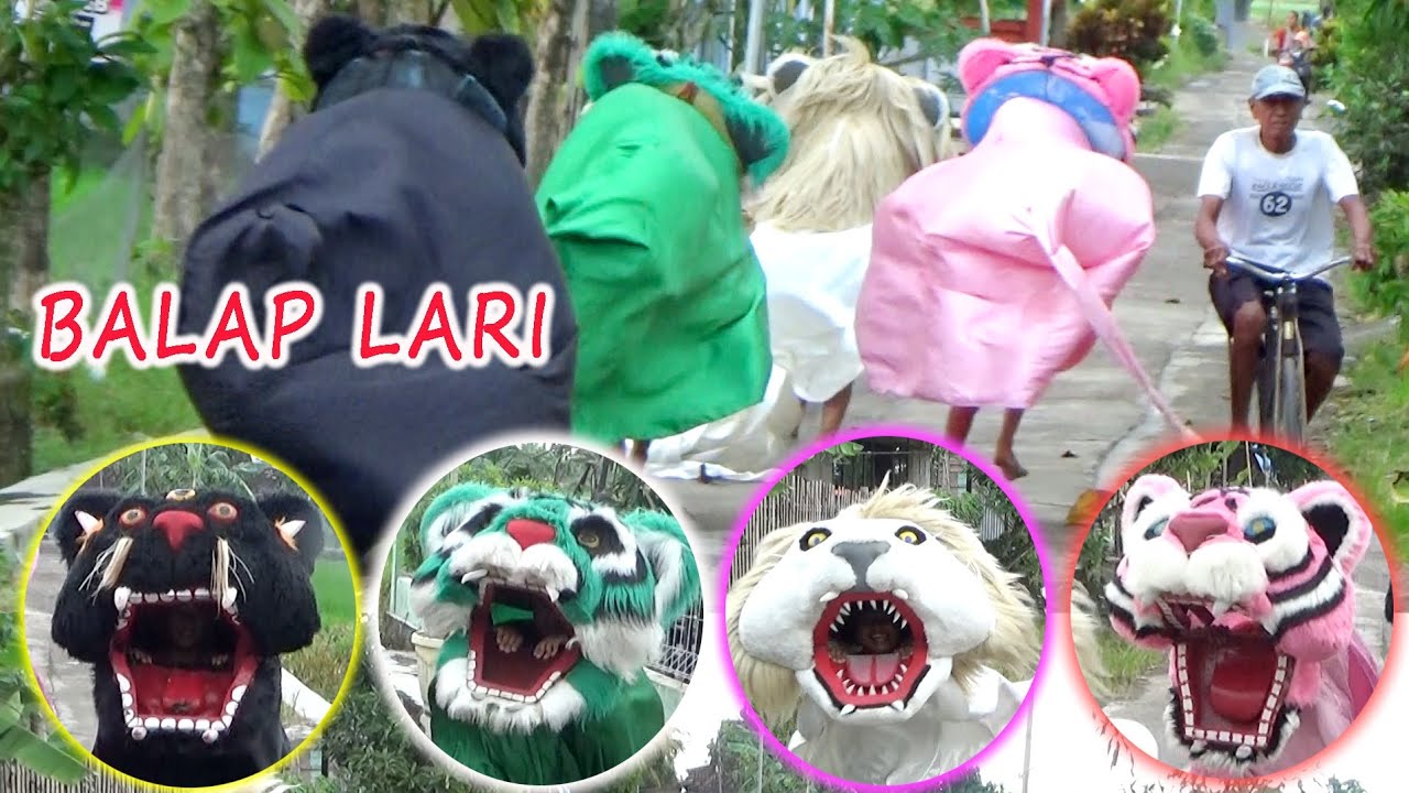 Balap lari barongan warna warni