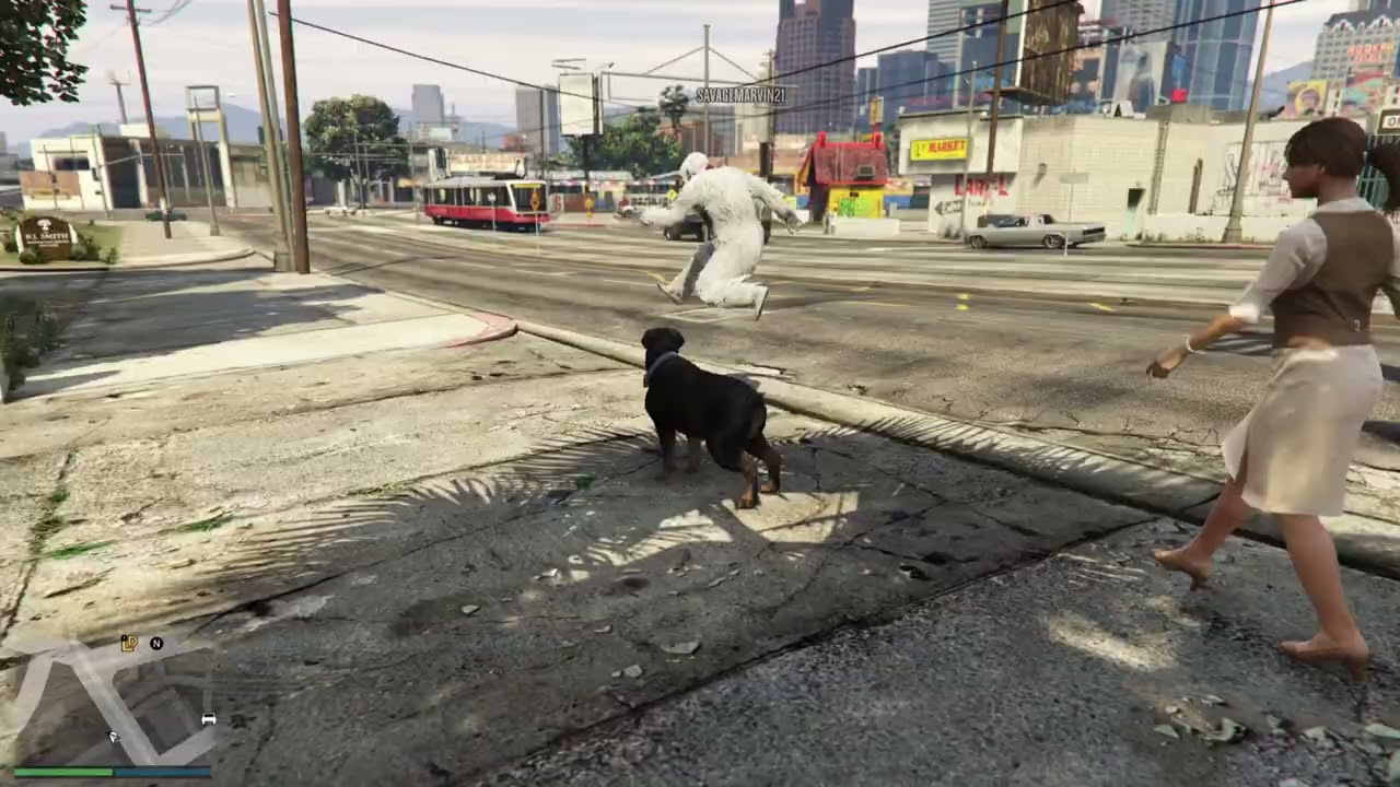 Adventures of Yeti and dog in GTAV Online  2024