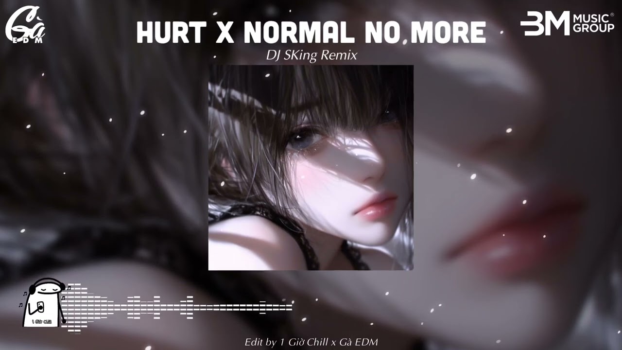 Hurt x Normal No More - DJ SKing Remix || Tiktok 2025 DJ抖音热播版 - Hot Tiktok Douyin 2025