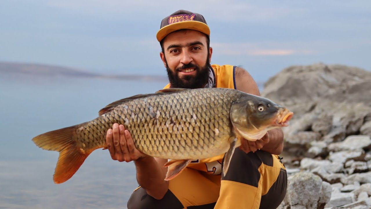اصطدنا وحوش نهر الفرات 🎣🔥 تحدي العيش أربعة أيام في البرية 🐟😱 