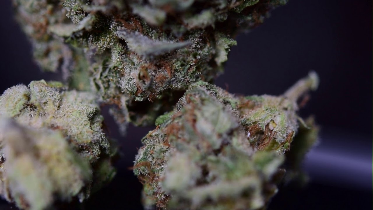 Black Indica weed Strain Review BC Kush