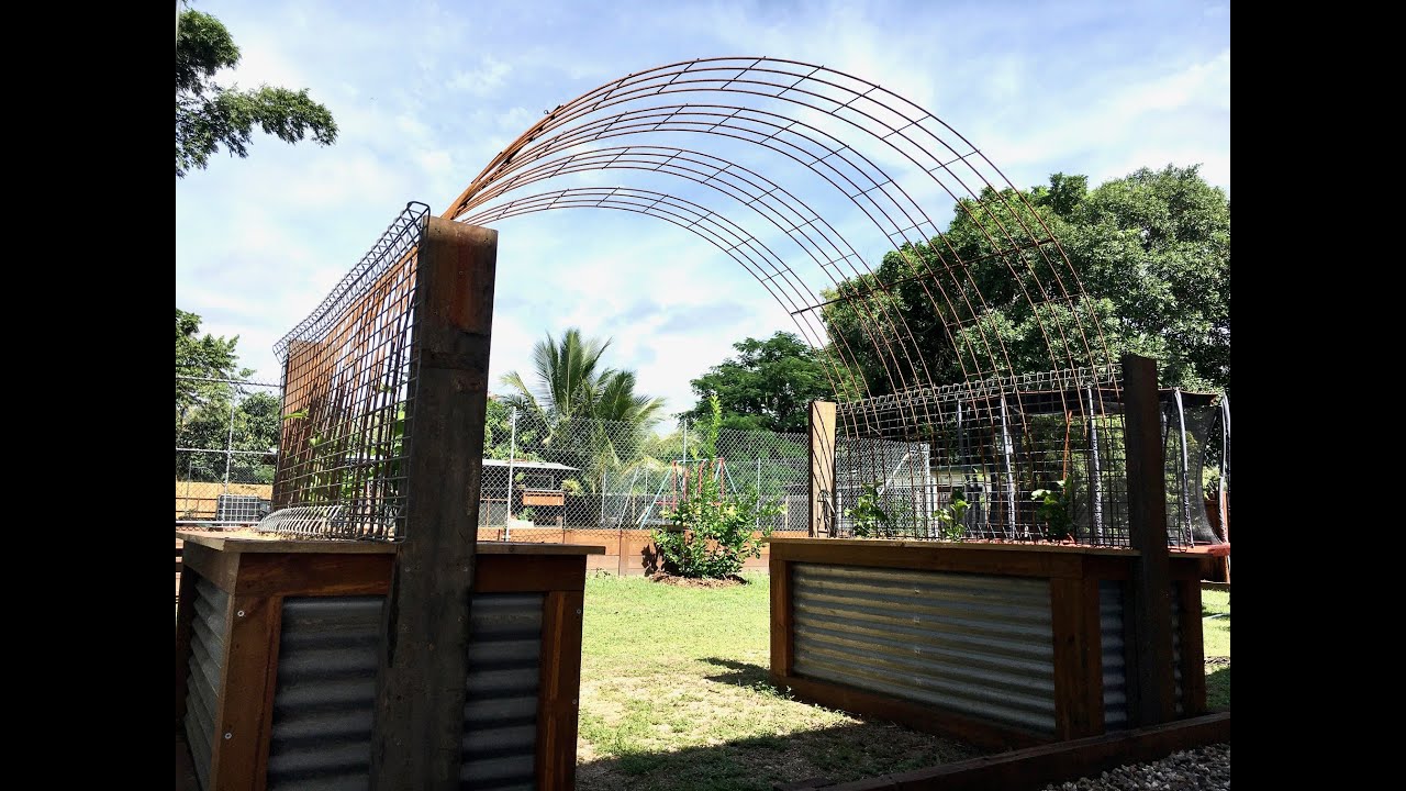 Australian Passionfruit Trellis Tunnel