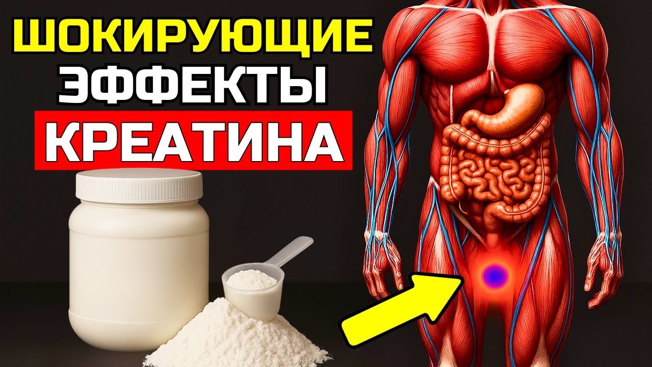ЛИШЬ 1% ЗНАЮТ ЭТО: НАСТОЯЩИЕ ЭФФЕКТЫ КРЕАТИНА ПОСЛЕ 50 ЛЕТ