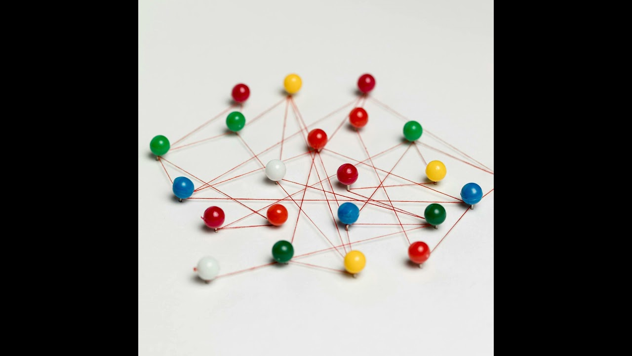 Leaders' Role in Promoting and Supporting Inclusion and Belonging, with Alida Miranda-Wolff