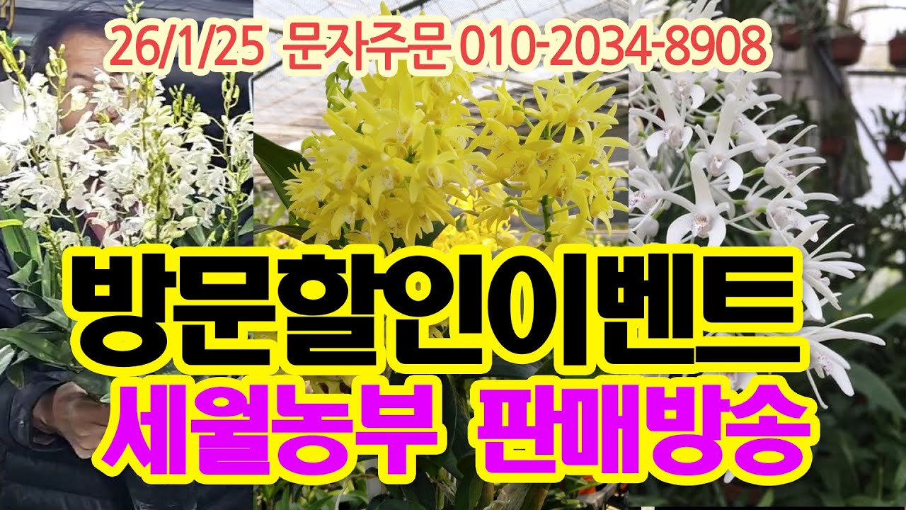 세월농부 1월 25일 방문할인 이벤트 카틀레야 대명석곡 판매방송