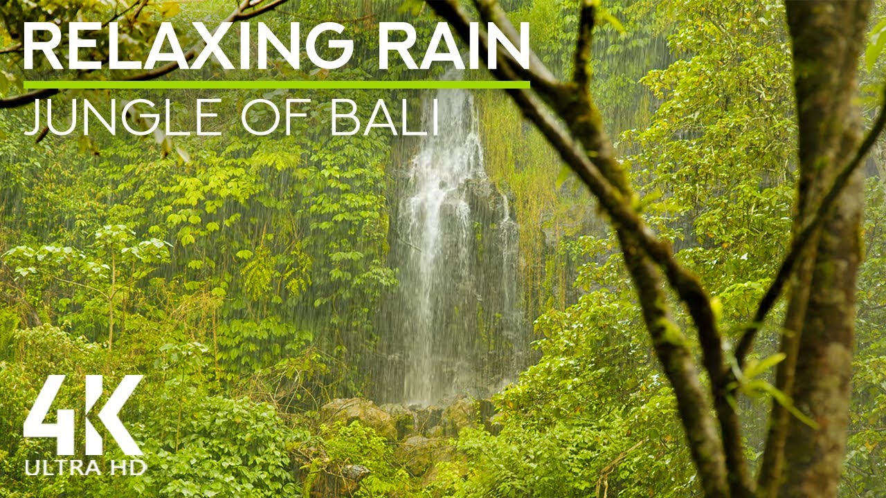 8 HRS Relaxing Sounds of a Jungle Waterfall, Pouring Rain & Thunder - Jungle under the Tropical Rain