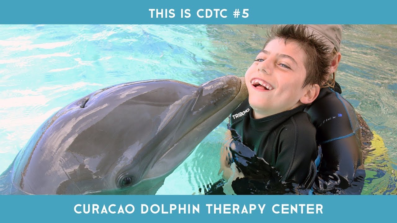 Dolphin Therapy Cura&ccedil;ao - This is CDTC #5