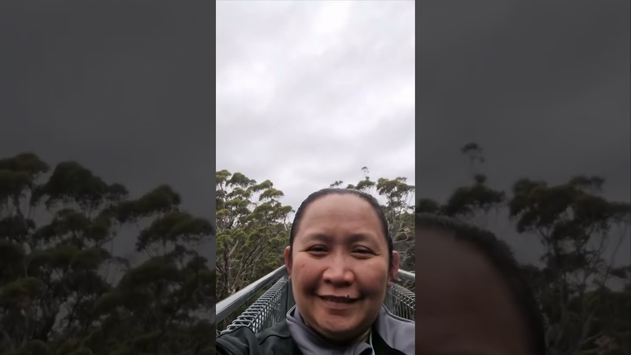 Tourist Spot Western Australia : Valley of the Giants, Tree Top Walk