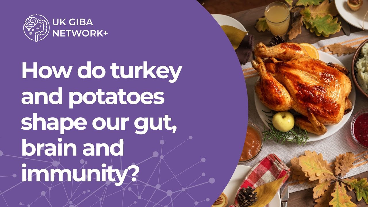 How do turkey and potatoes shape our gut, brain and immunity?