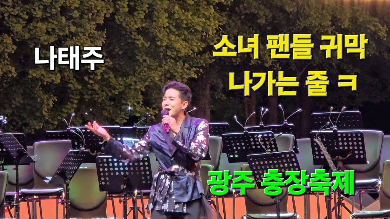 광주 추억의 충장축제 (24.10.6) #나태주 #태주날개 #태권트롯맨 #용됐구나