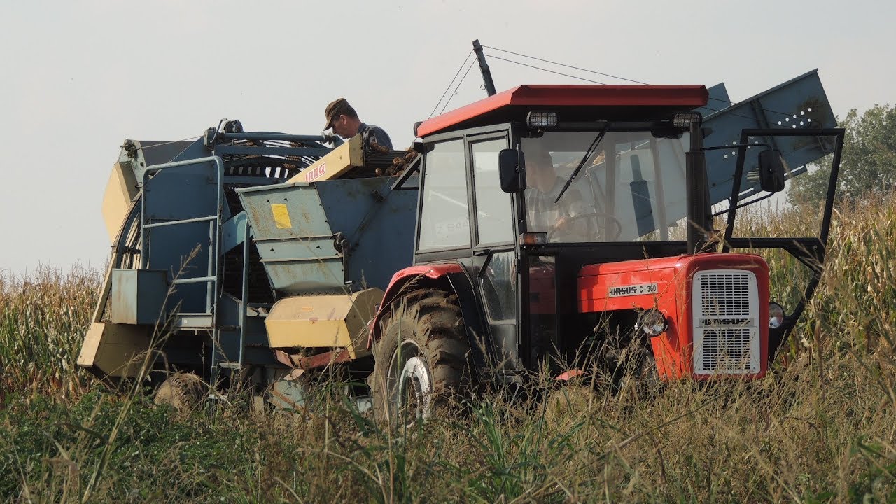 Zbiór ziemniaków 2017 || Ursus c 360 x2 & Anna ||