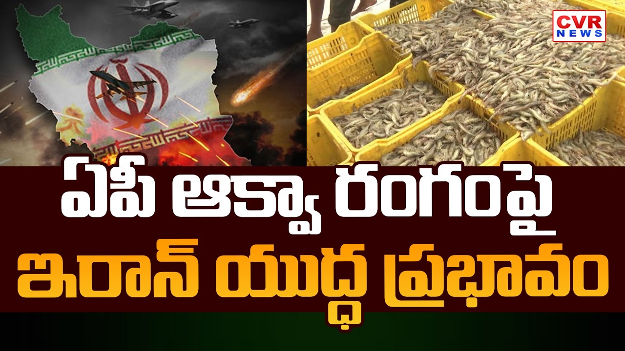 Iran War Impact On AP Aqua Sector | CVR News