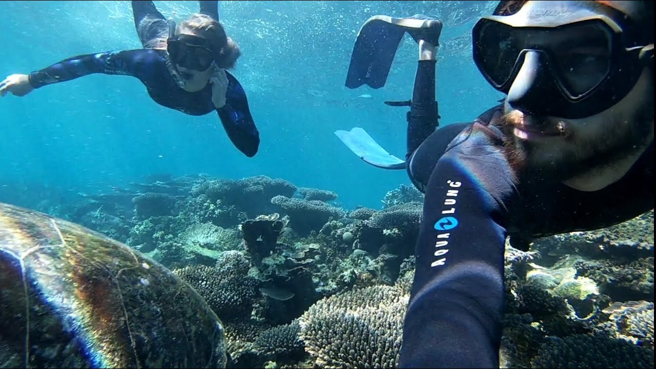 We hit the CORALS The Ningaloo Reef - Ocean Wolf Sailing ⚓ Ep. 9