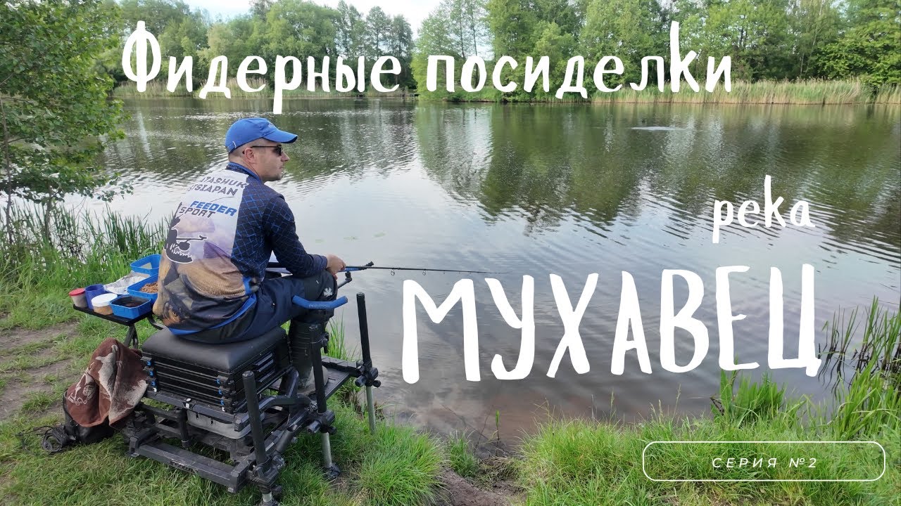 Фидерные посиделки.  Река Мухавец.
