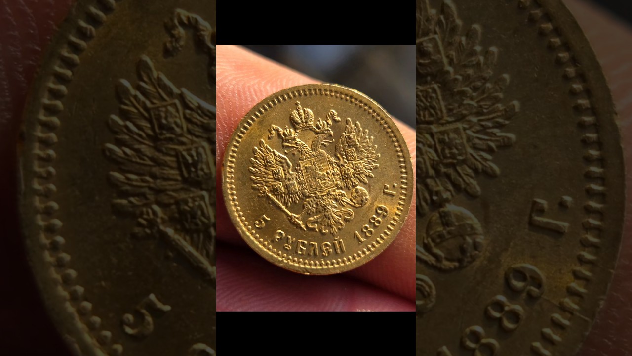 digging with deus #xp #metaldetecting #metalpix #deus #diggingtrip