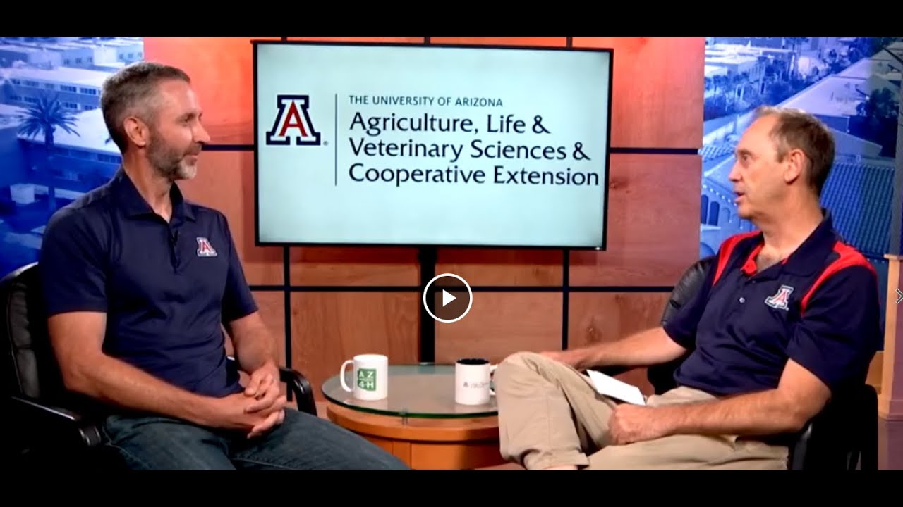 UArizona Life & Science: Michael Bogan