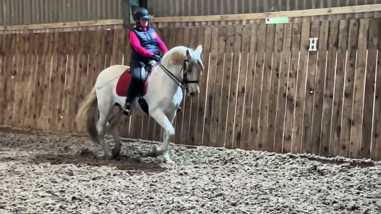 Nicola Sloper & Figura I advanced medium 6a feb 2026