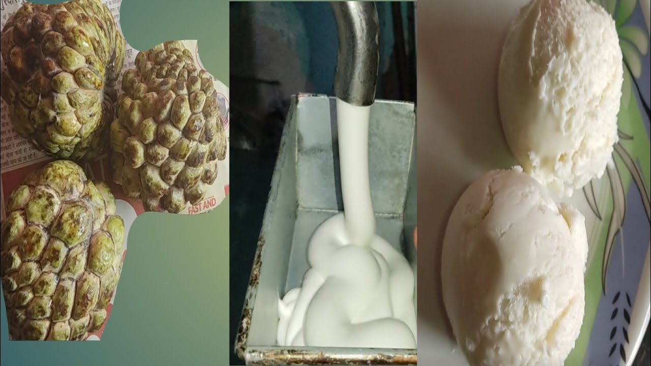 Custard Apple ICE Cream|Commercial Custard Apple 🍎 ice cream🍦|#custardapple #CustardAppleICECream